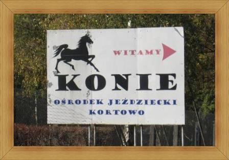 Ośrodek Jeździecki UWM Kortowo Olsztyn stajnie dla koni