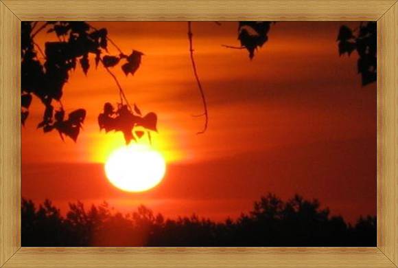 Atrakcyjny Olsztyn widoki Warmia i Mazury słońce o poranku