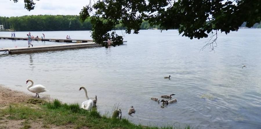 Jezioro Olsztyn Spotkanie z Naturą